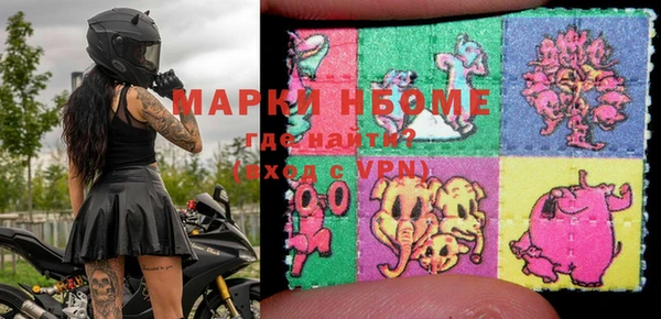 mdpv Бородино