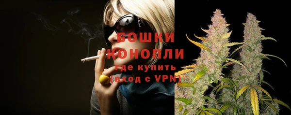 PSILOCYBIN Бронницы