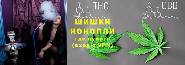 mdpv Бородино