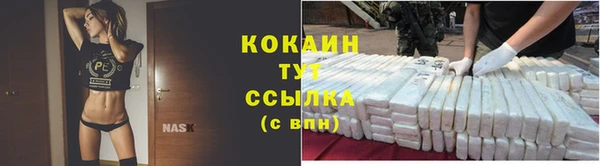 mdpv Бородино