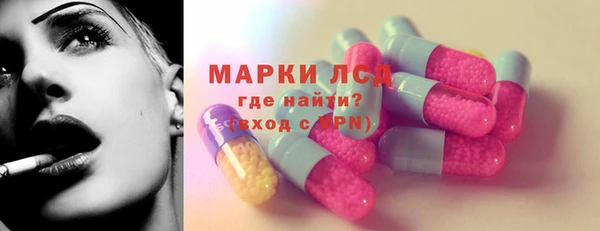 mdpv Бородино