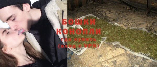 PSILOCYBIN Бронницы