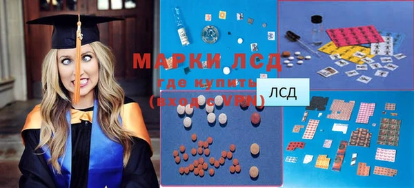 PSILOCYBIN Бронницы