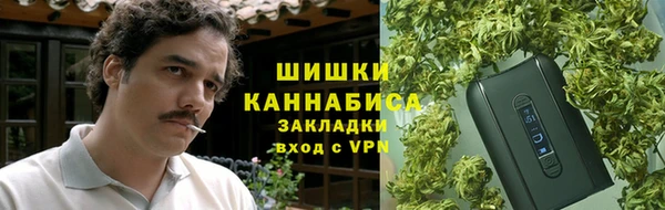 PSILOCYBIN Бронницы