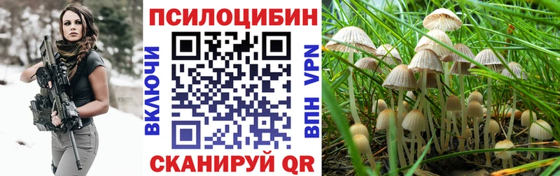 Галлюциногенные грибы Psilocybe Ковров