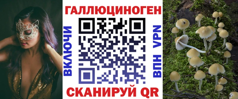 Псилоцибиновые грибы Psilocybe где купить наркоту мега ССЫЛКА Ковров
